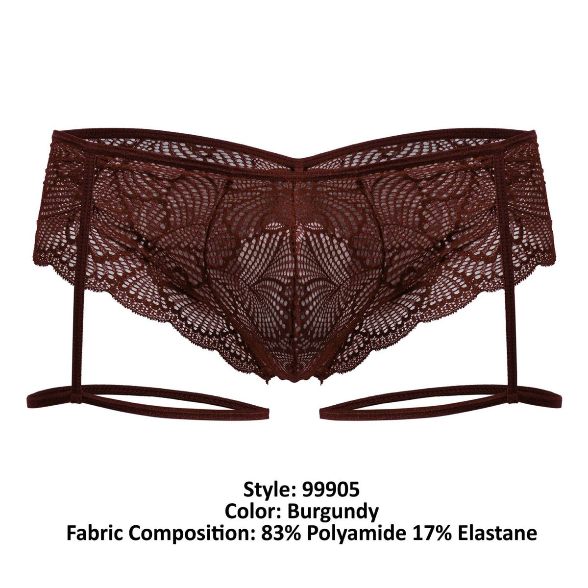 Garter Lace Briefs