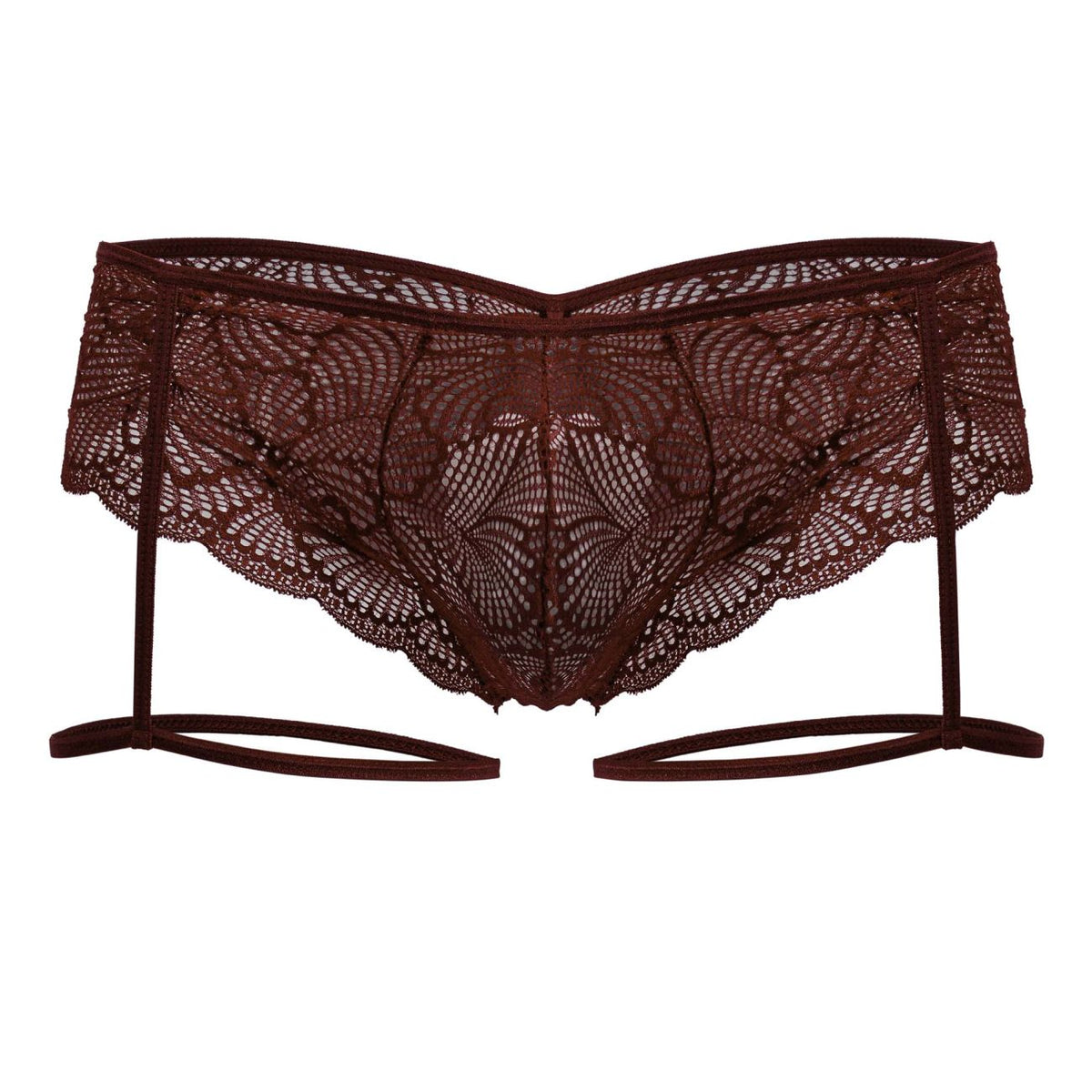 Garter Lace Briefs