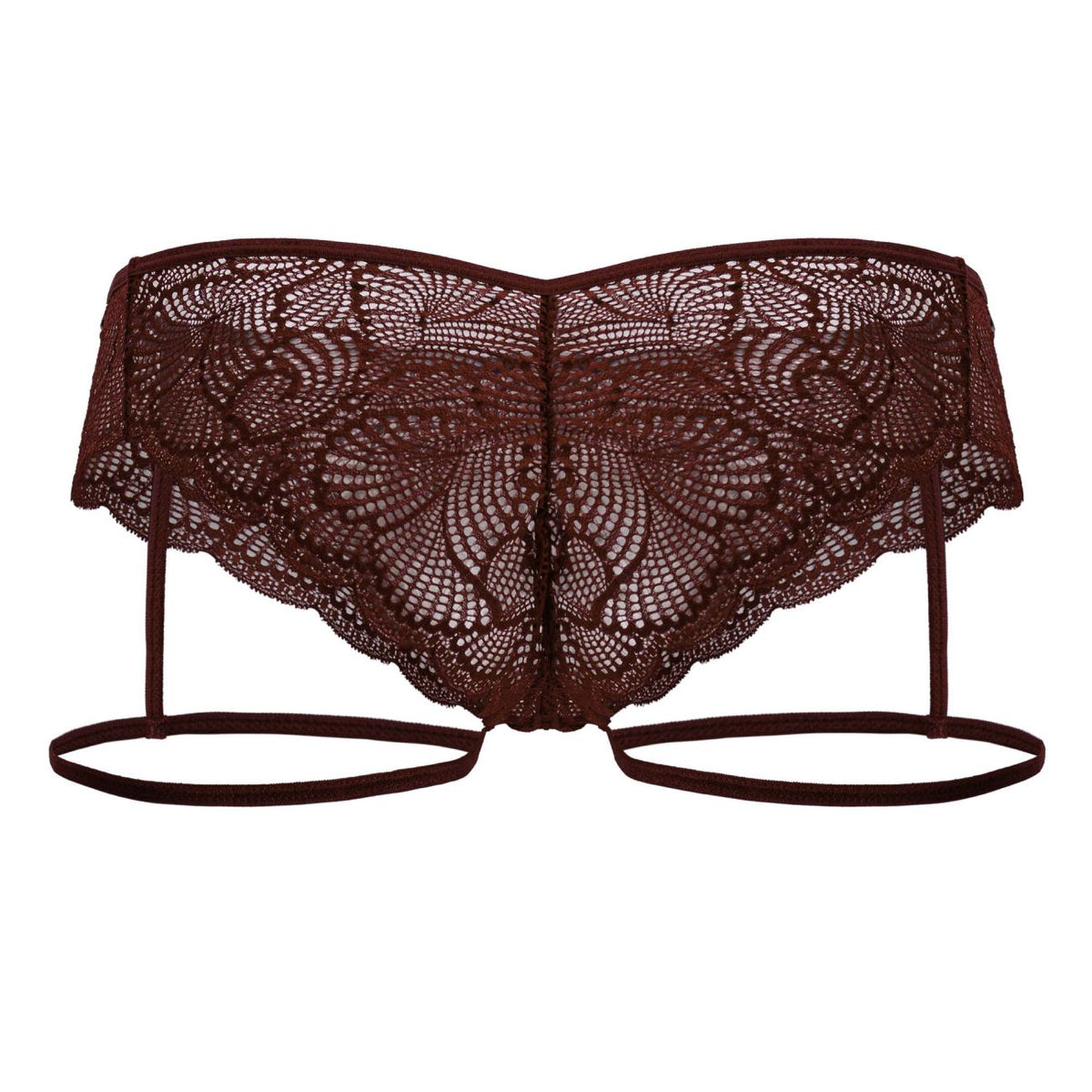 Garter Lace Briefs