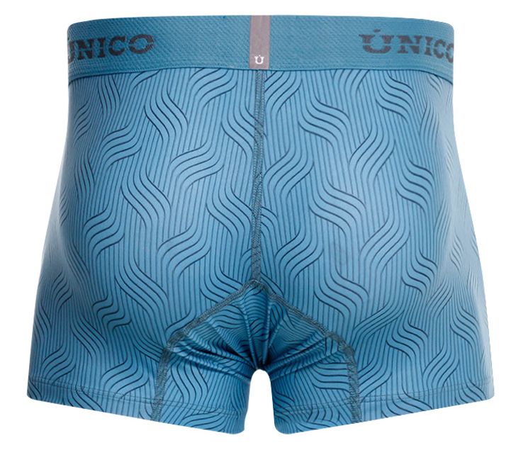 Lenoso Trunks