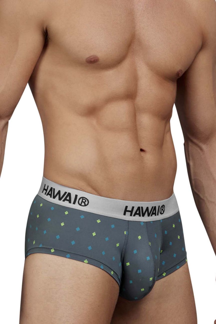 Microfiber Briefs
