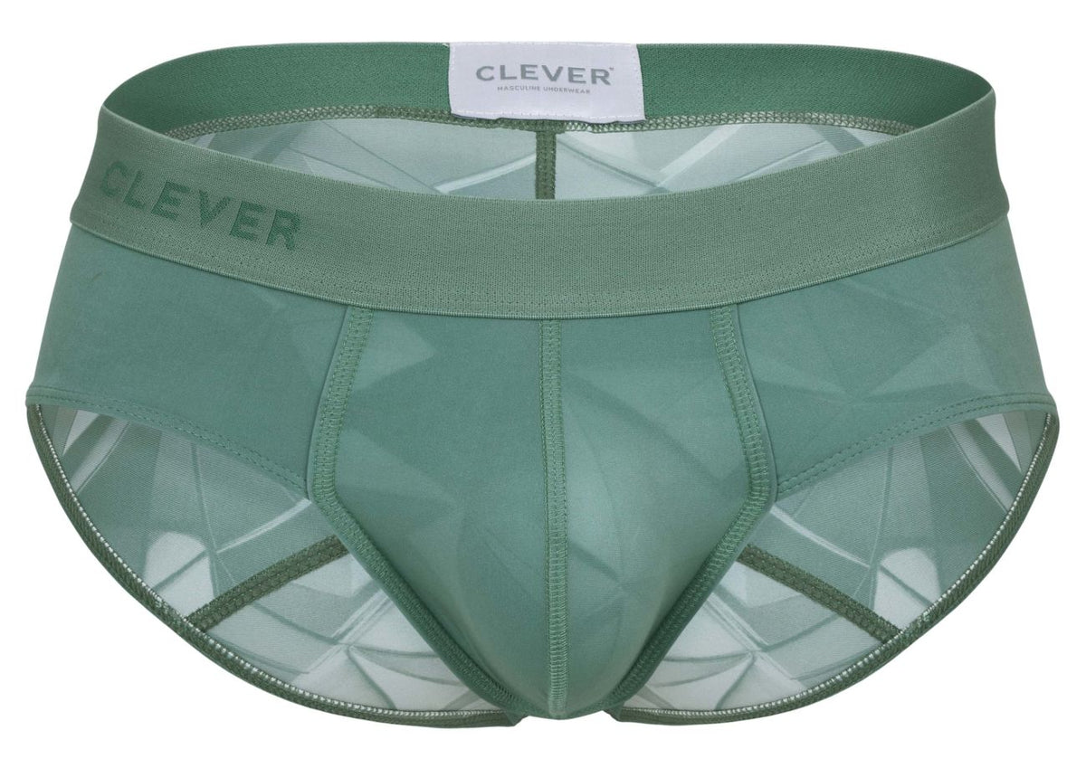 Venecia Briefs