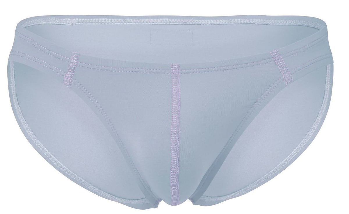 Raices Briefs