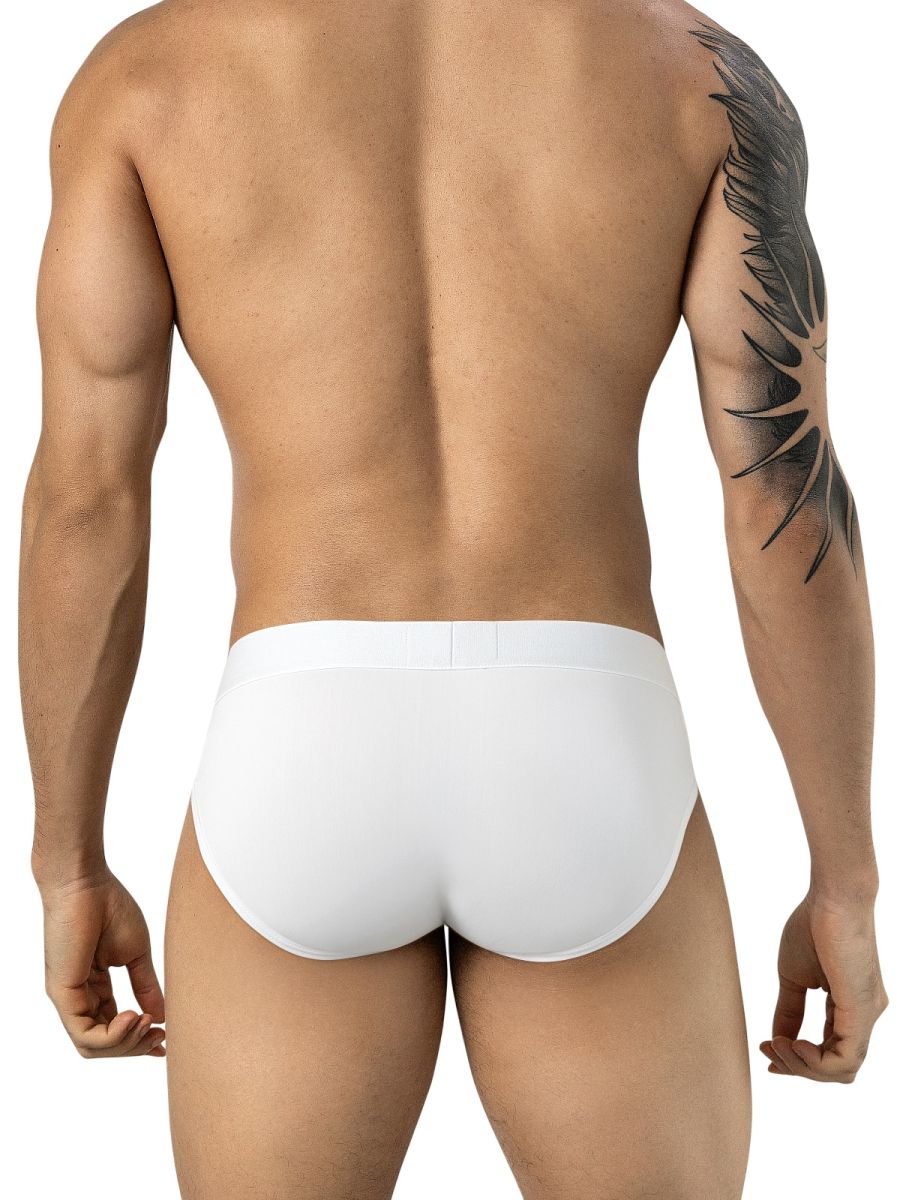 Salento Briefs