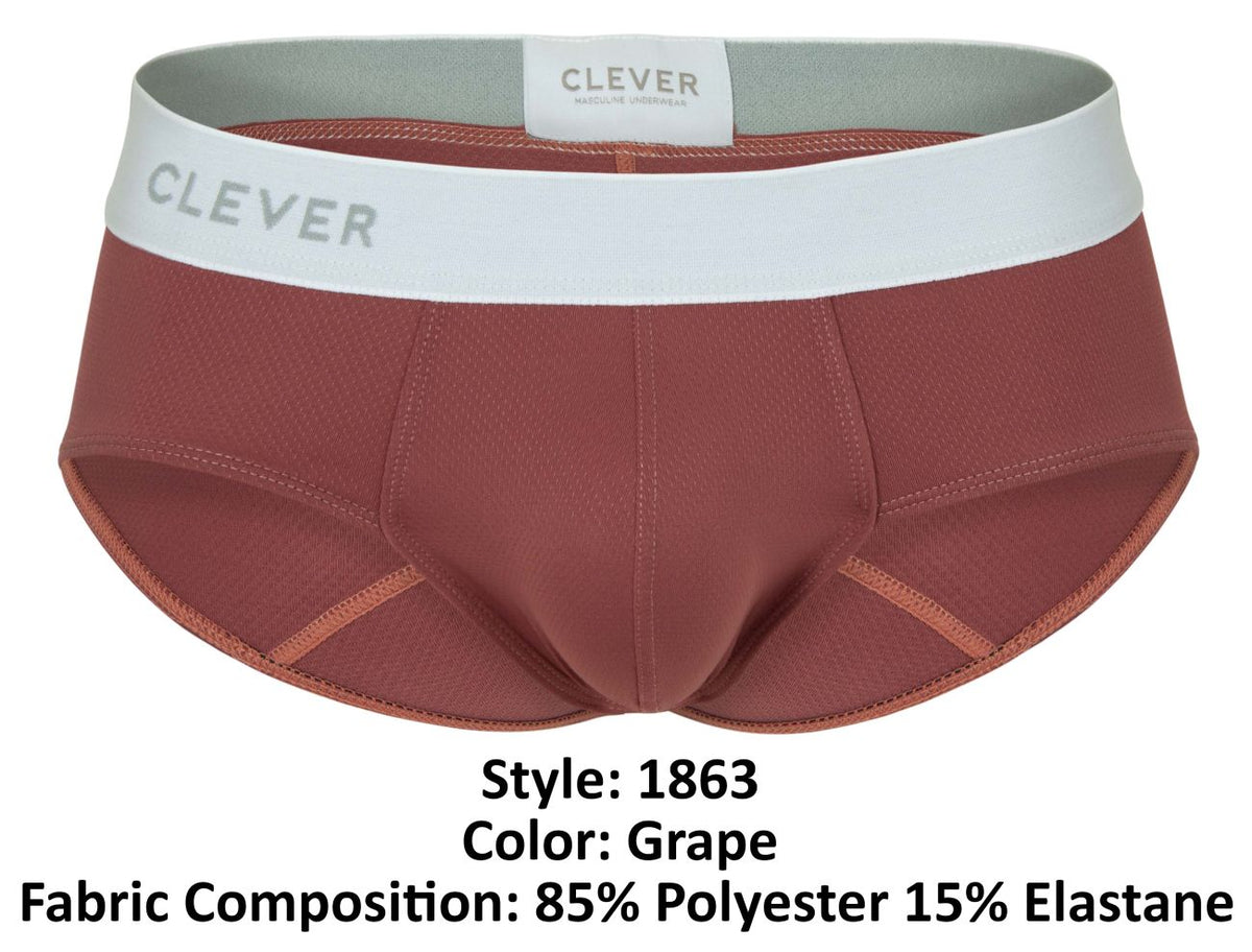 Lecler Briefs