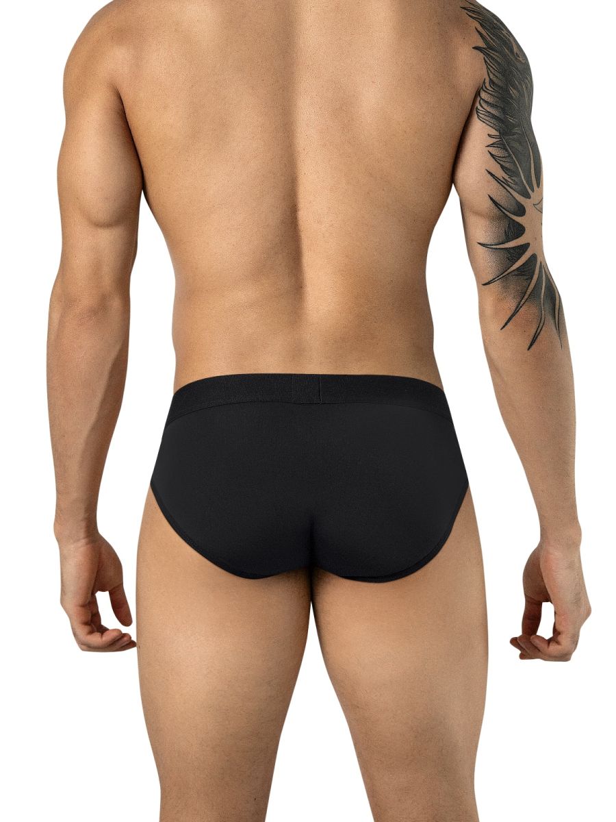 Salento Briefs