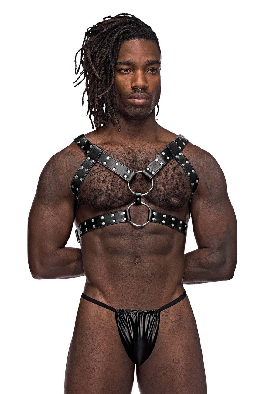 Leather Gemini Harness