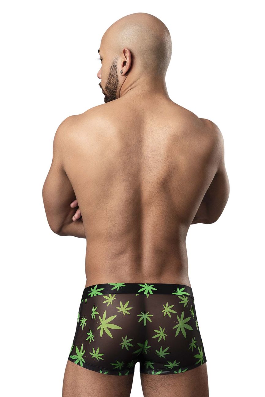 Hazy Dayz Pouch Short