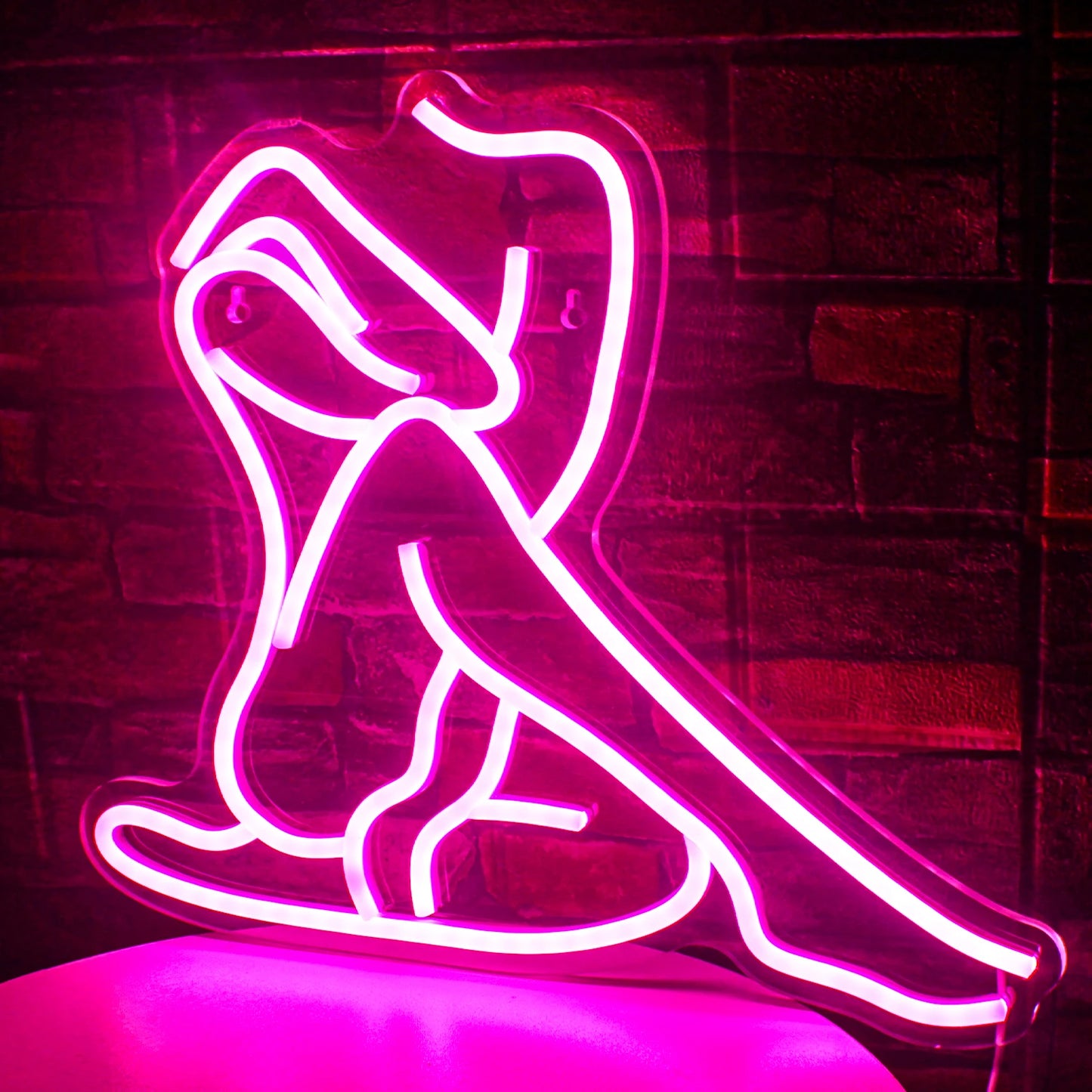 Women Lady Neon Sign Dimmable USB Powered Wall Decor Pink Neon Light up Signs for Bedroom Man Cave Bar Party Pub Decor Neon