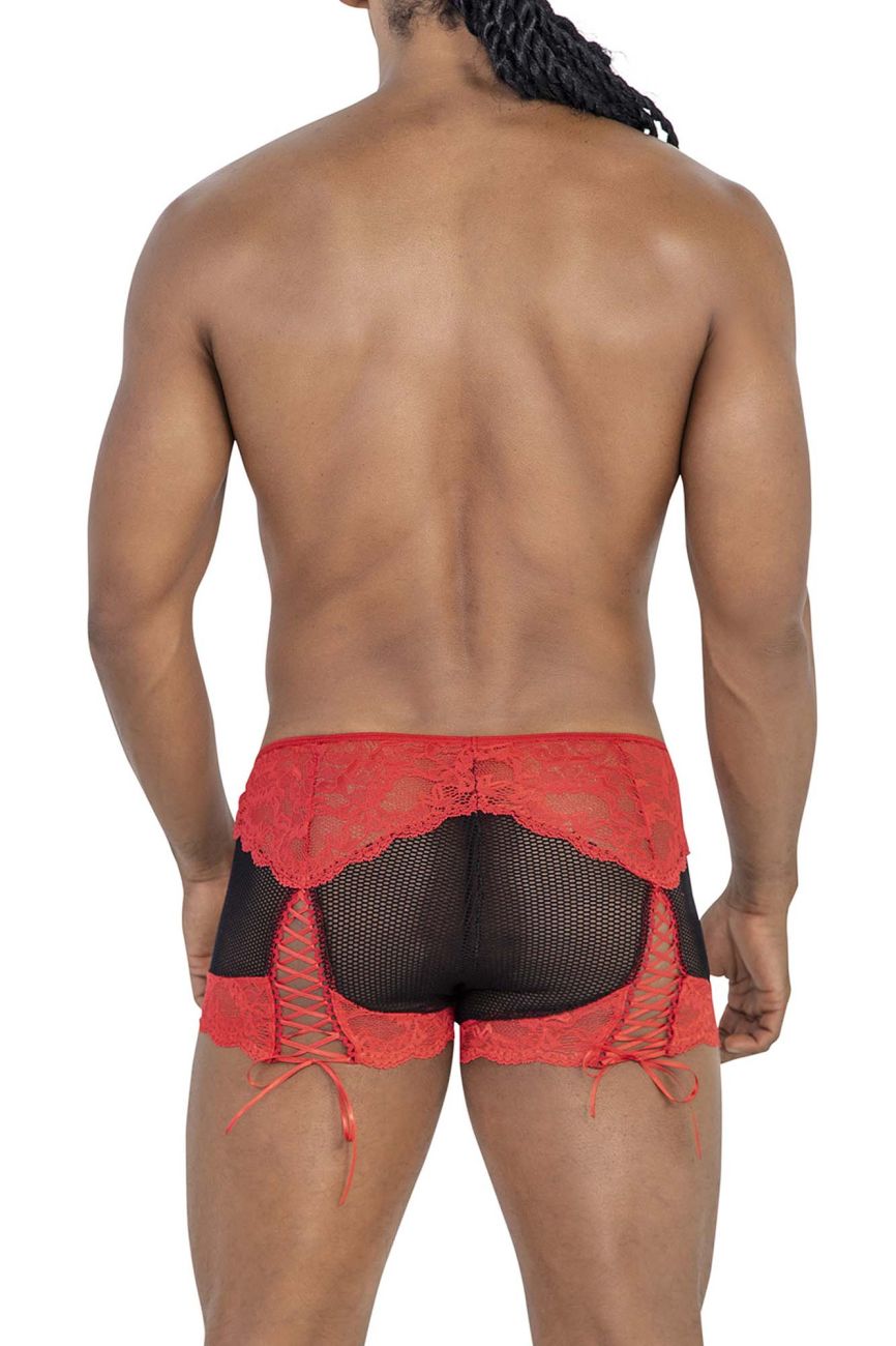 Mesh Lace Trunks