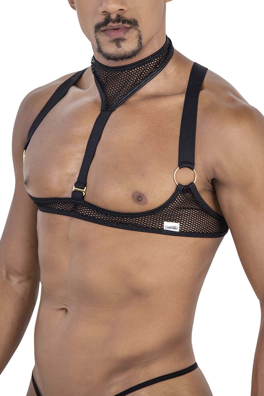 Mesh Harness