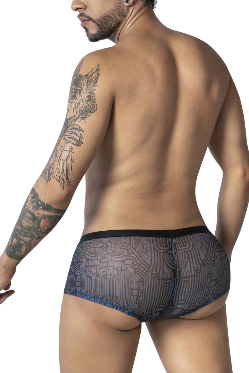 Water prints Trunks