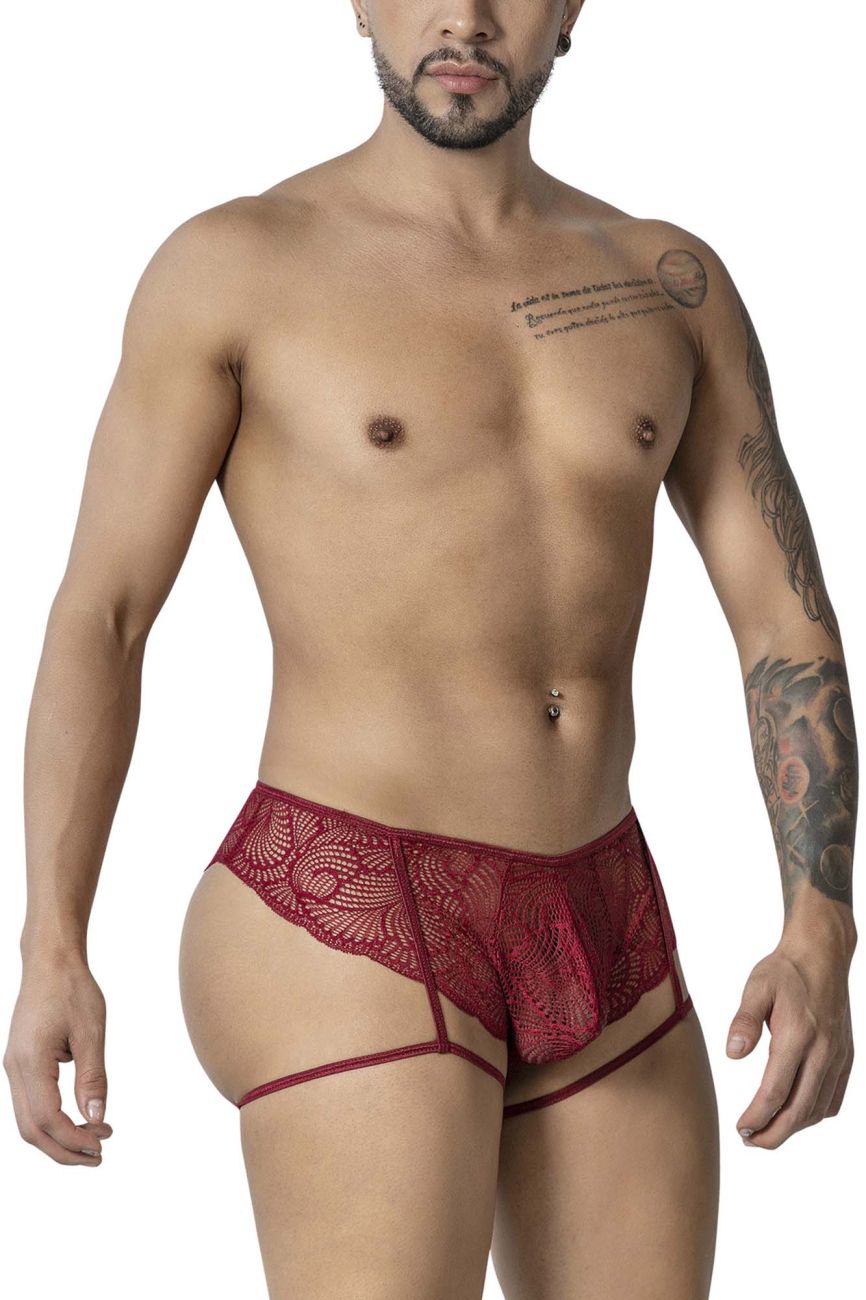 Garter Lace Briefs