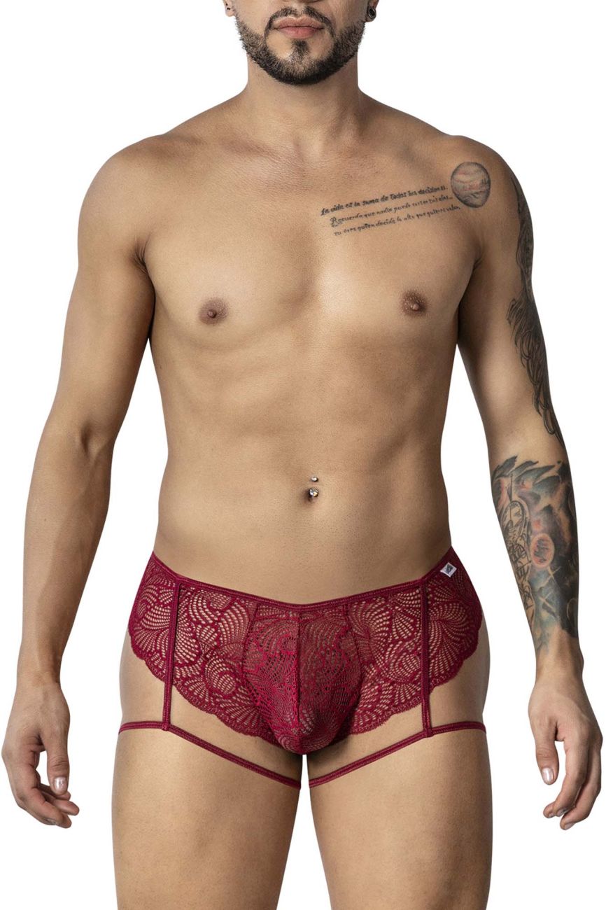 Garter Lace Briefs