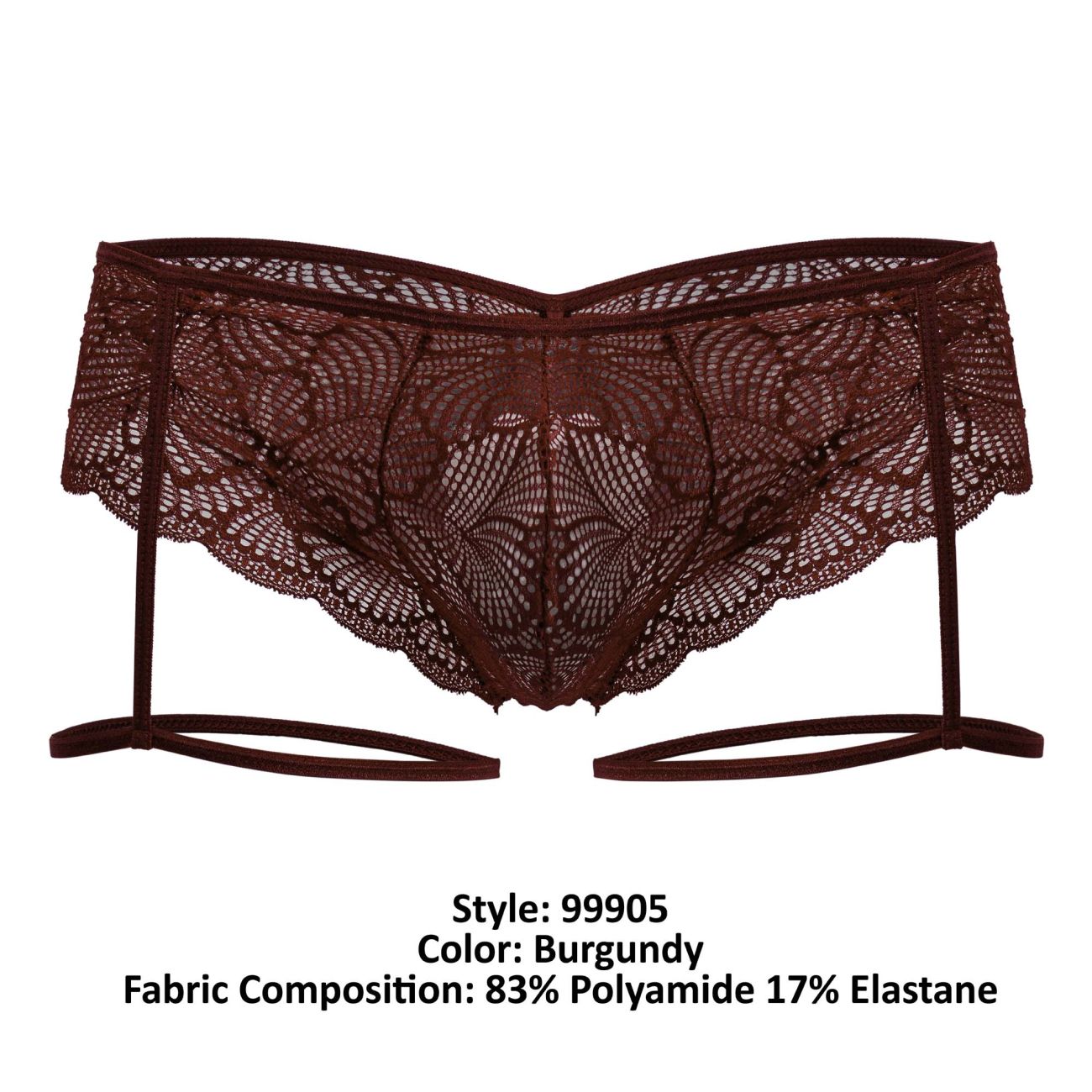 Garter Lace Briefs