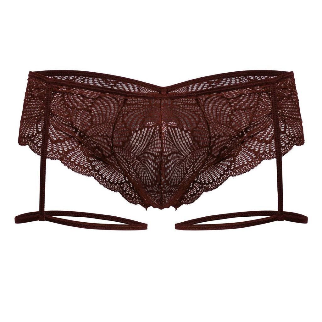 Garter Lace Briefs