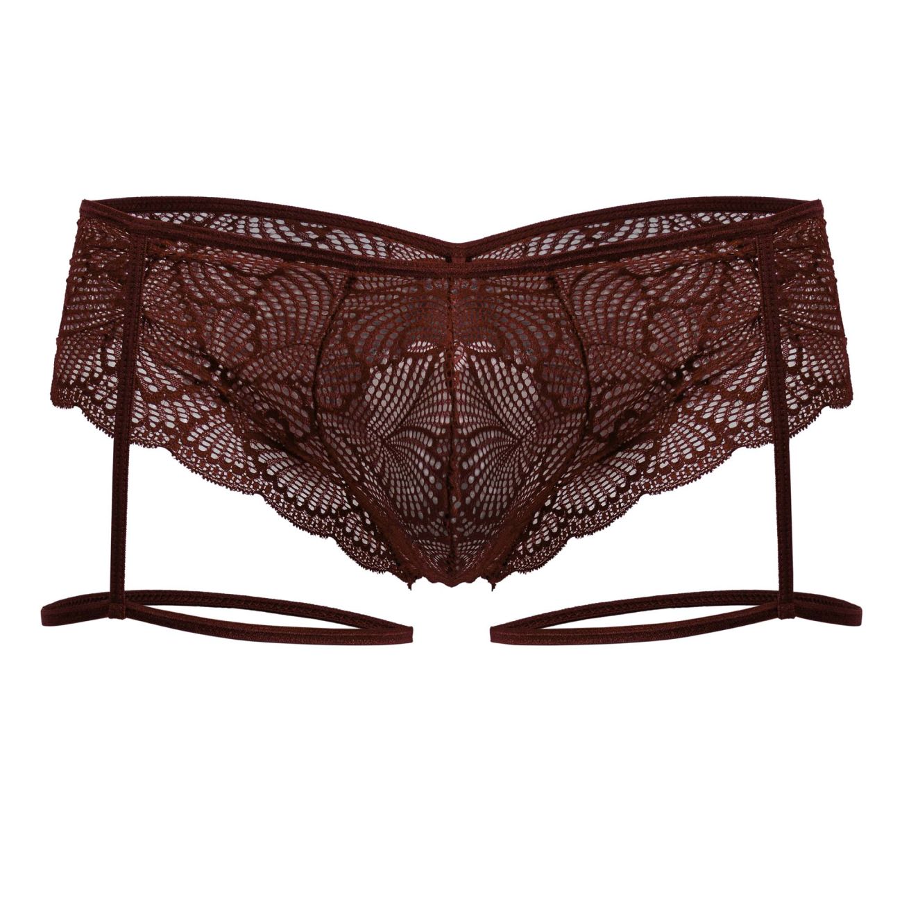 Garter Lace Briefs