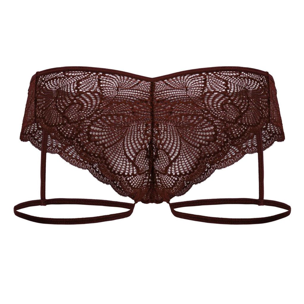 Garter Lace Briefs