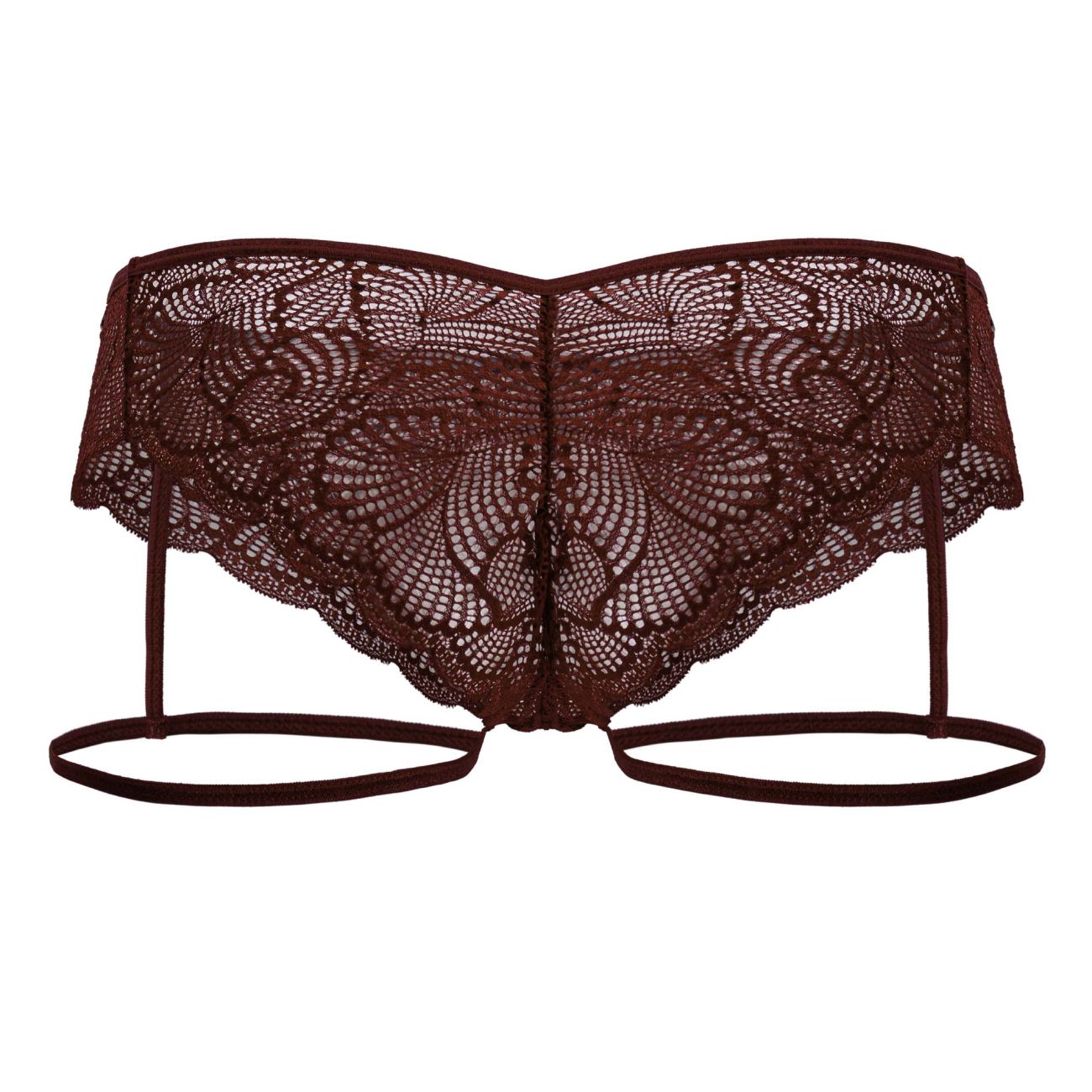 Garter Lace Briefs