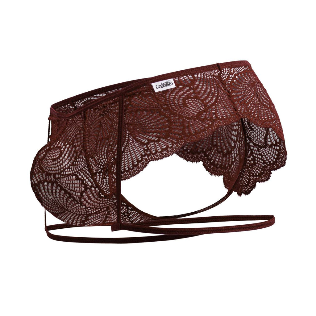 Garter Lace Briefs