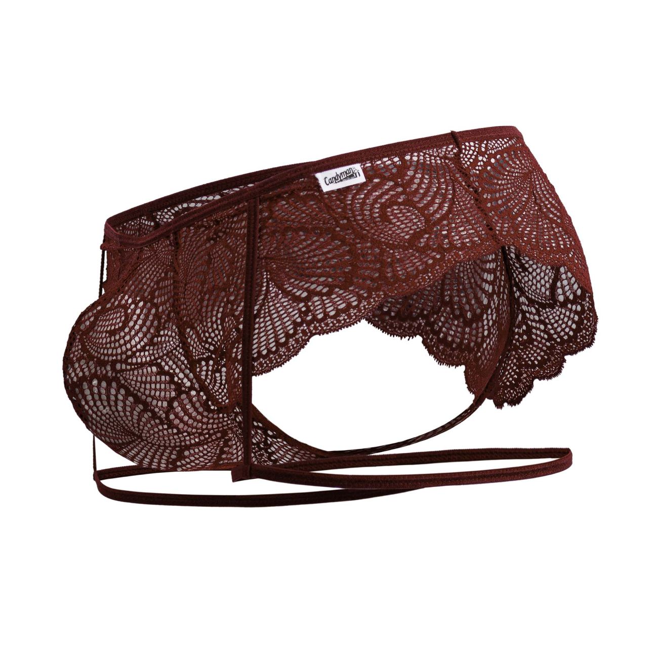 Garter Lace Briefs