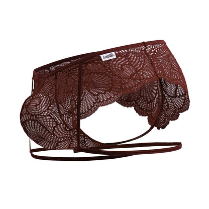 Garter Lace Briefs