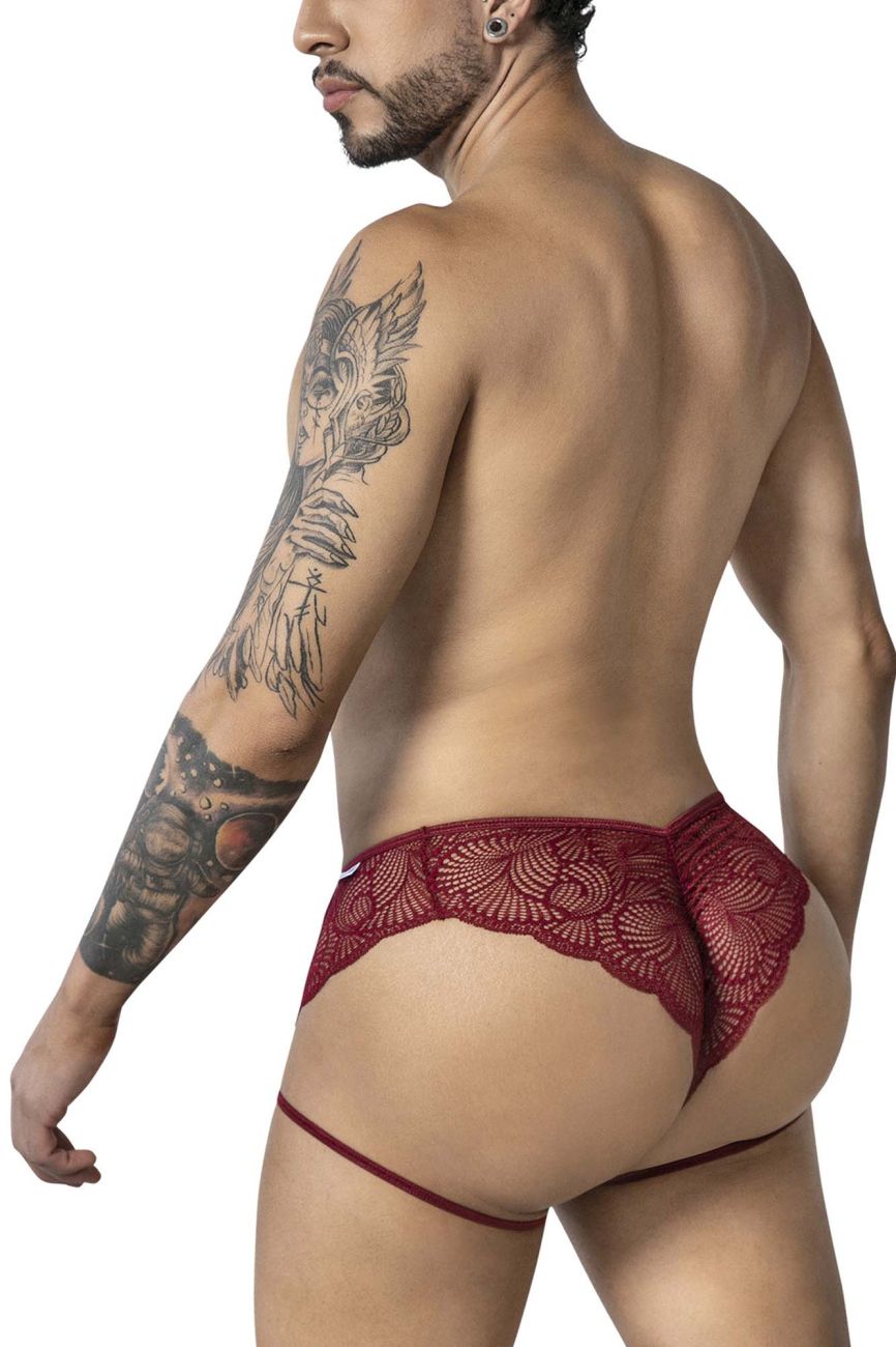 Garter Lace Briefs