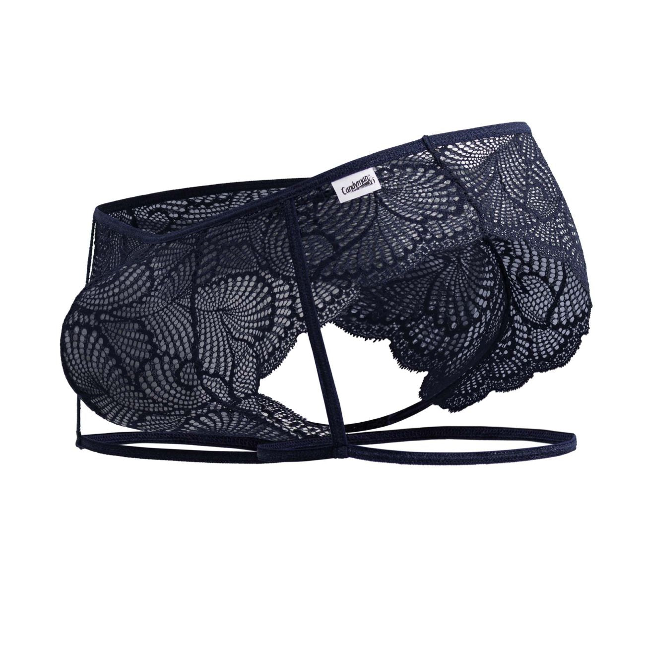 Garter Lace Briefs