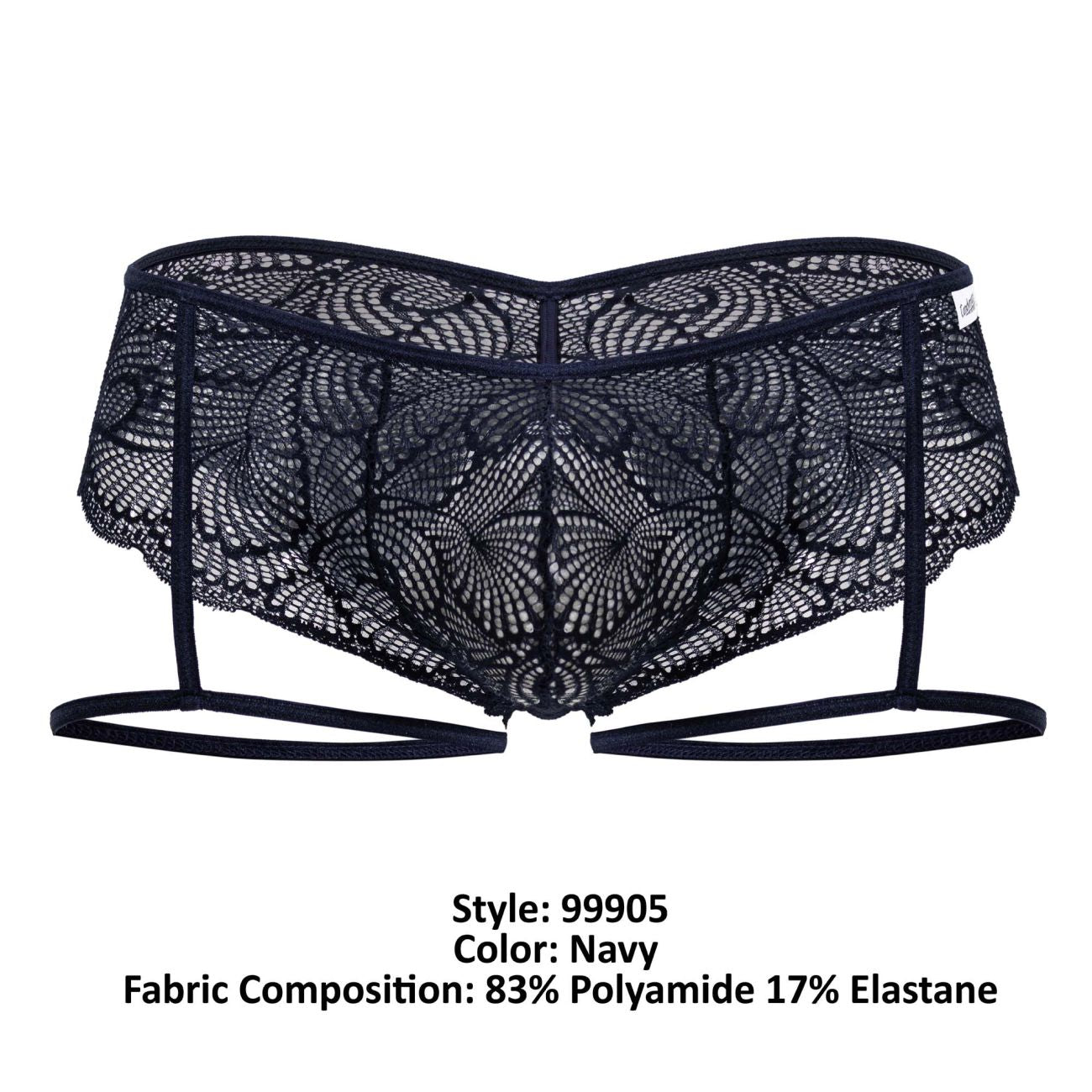 Garter Lace Briefs