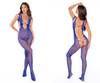 Fishnet Bodystocking
