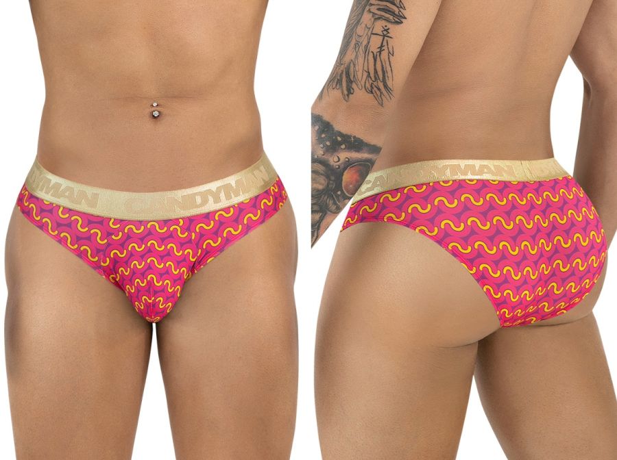 Briefs