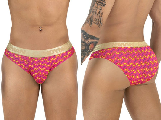 Briefs
