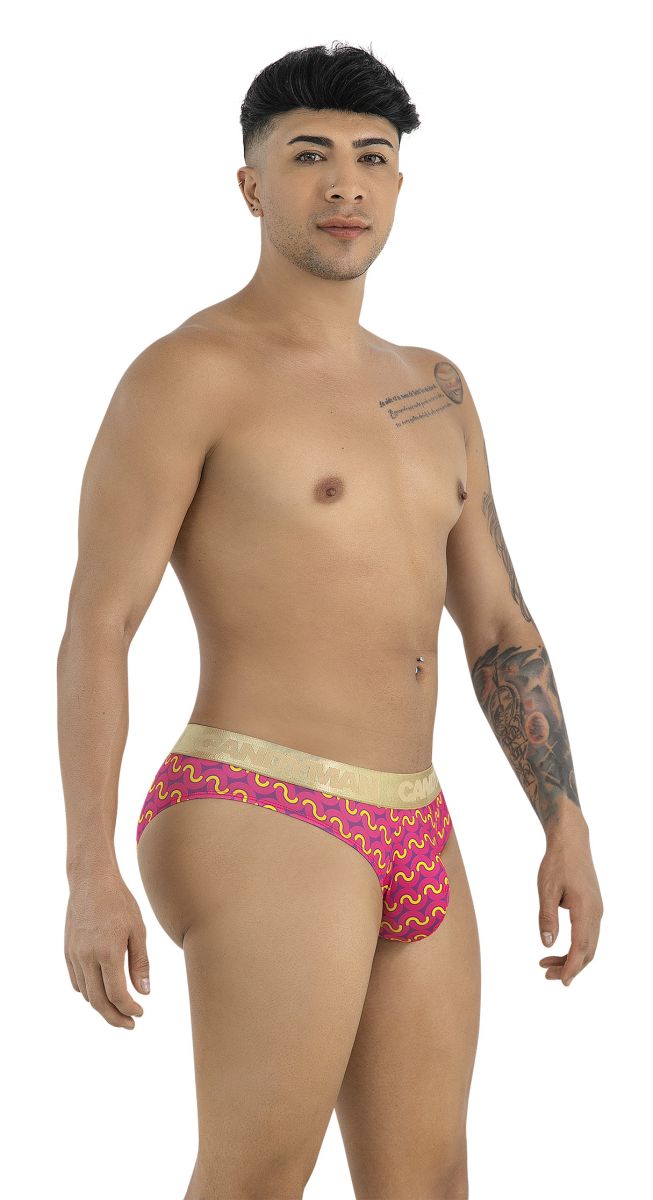 Briefs