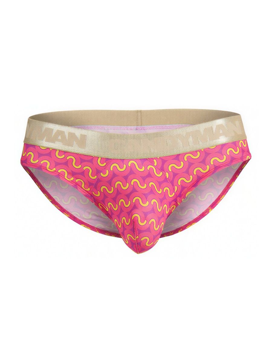 Briefs