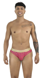 Briefs