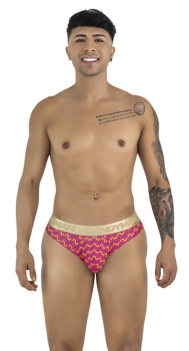 Briefs