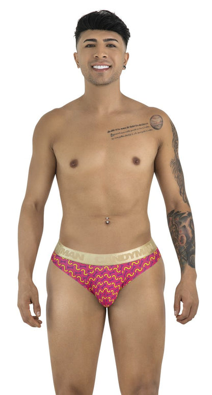 Briefs