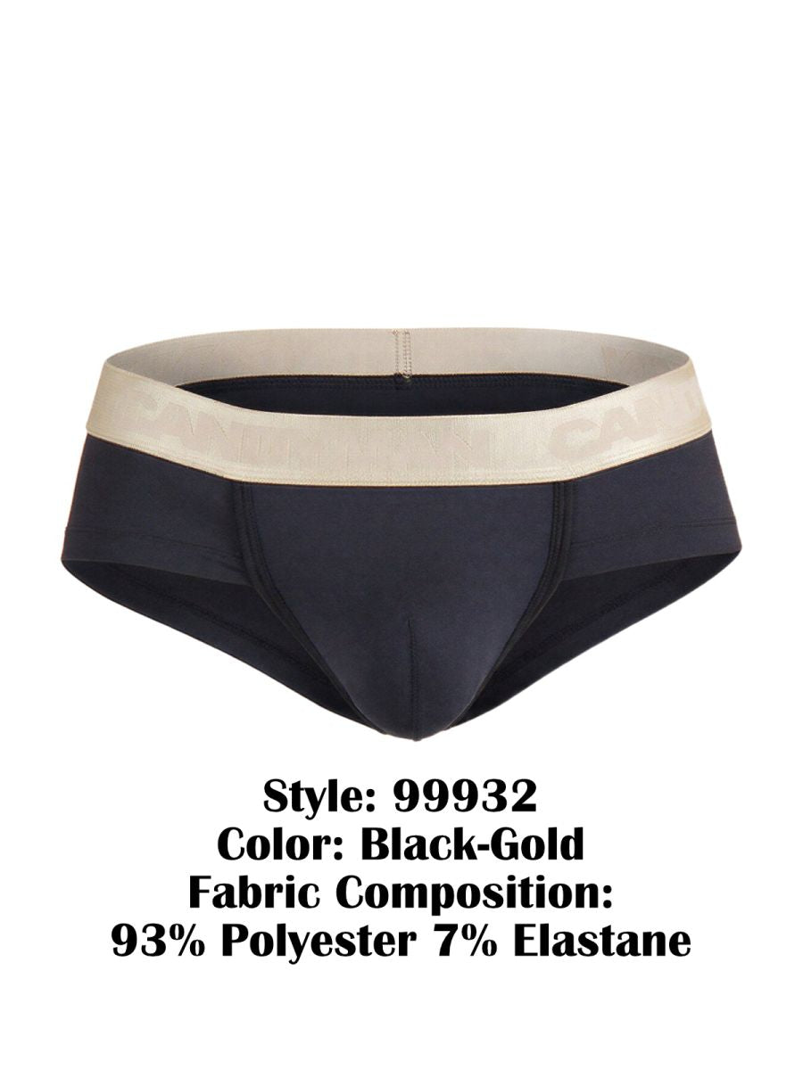 Briefs