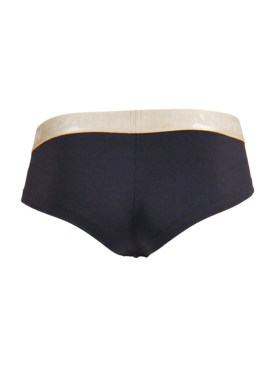 Briefs