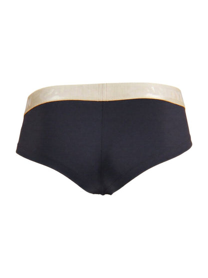 Briefs