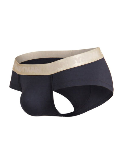 Briefs