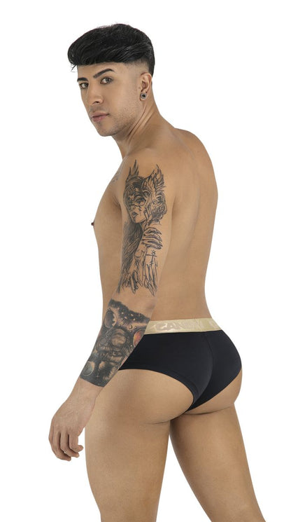 Briefs