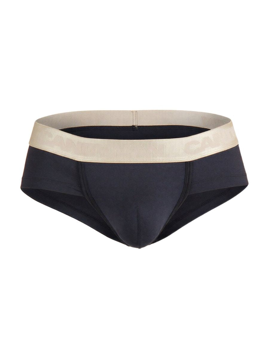 Briefs