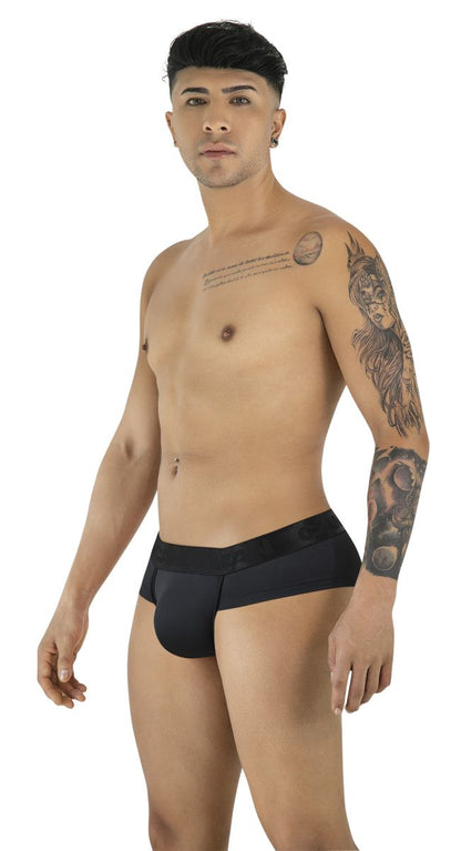 Briefs