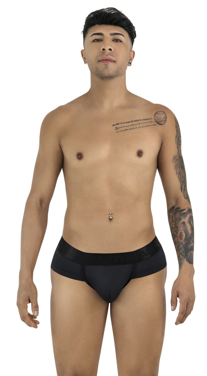 Briefs