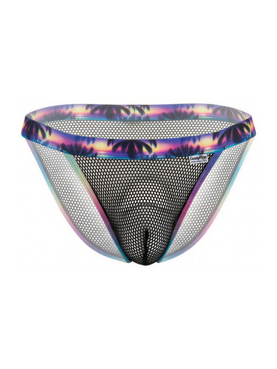 Briefs
