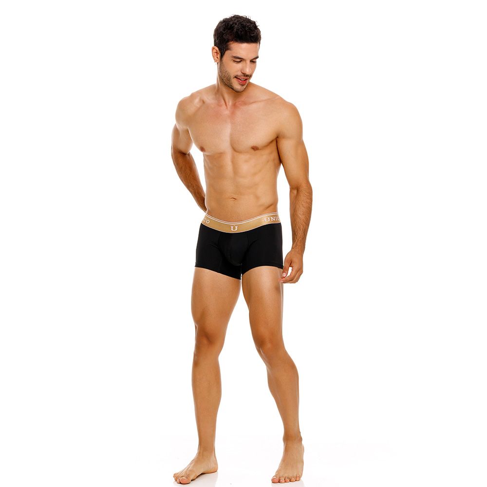 Lingote Trunks