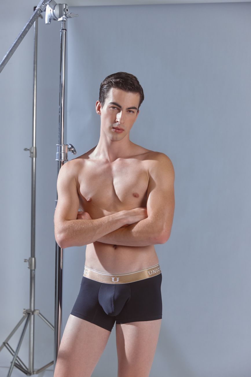 Lingote Trunks