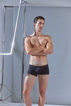 Lingote Trunks