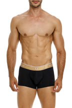 Lingote Trunks
